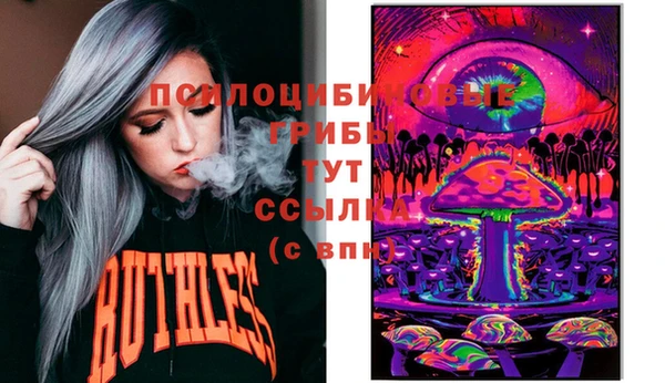 ГАЛЛЮЦИНОГЕННЫЕ ГРИБЫ Кодинск