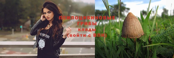 ПСИЛОЦИБИНОВЫЕ ГРИБЫ Козловка