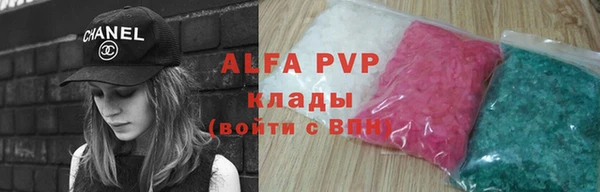 ПСИЛОЦИБИНОВЫЕ ГРИБЫ Козловка