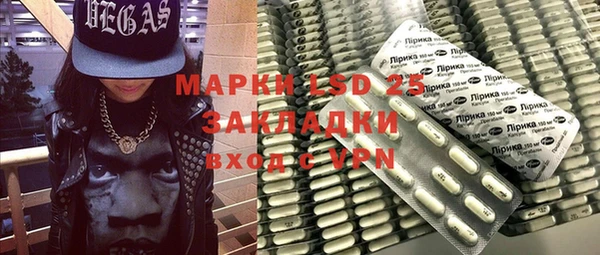 ГАЛЛЮЦИНОГЕННЫЕ ГРИБЫ Кодинск