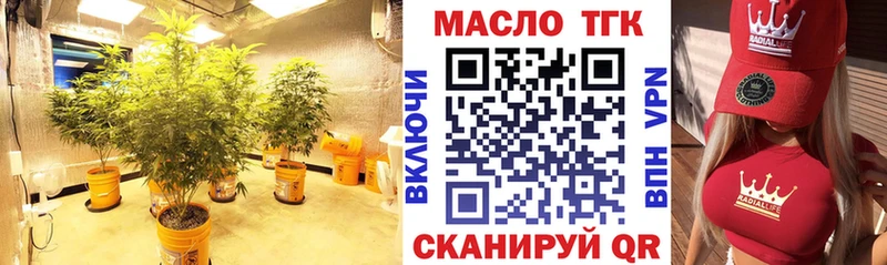 Купить закладки  Димитровград  ТГК вейп 