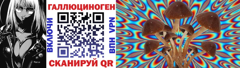 Галлюциногенные грибы MAGIC MUSHROOMS  Купить закладки  Димитровград